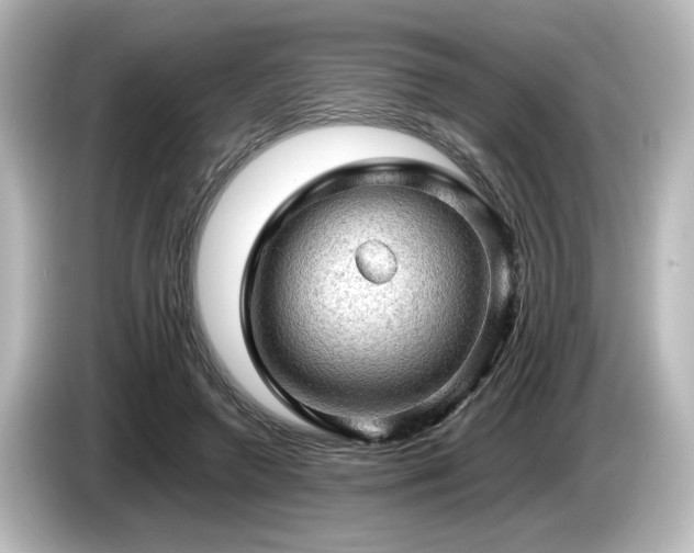 X0000085740546200703161030
