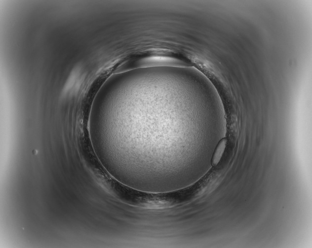 X0000085740547200703161030