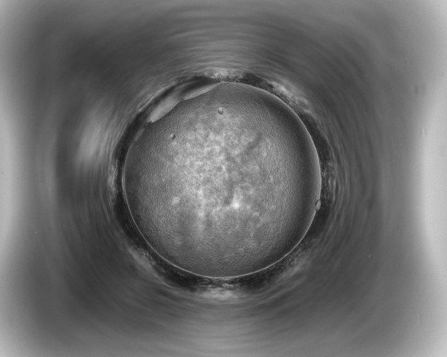 X0000085740550200703161030