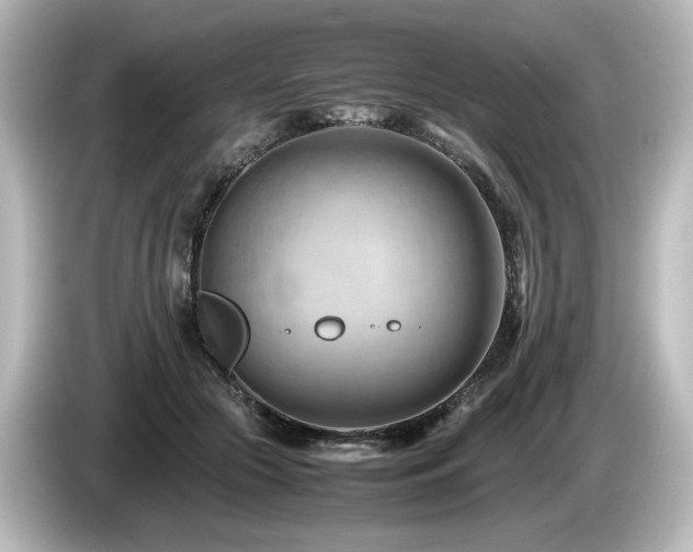 X0000085740553200703161030