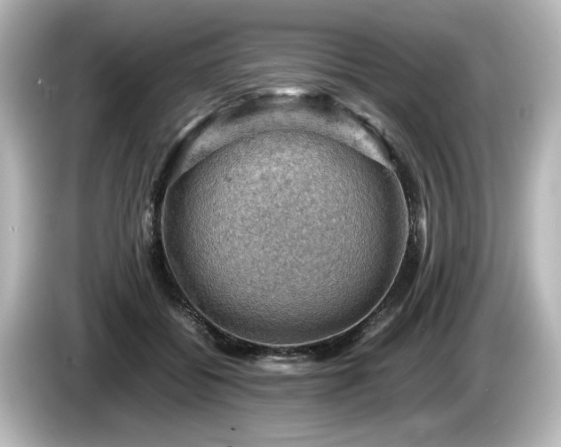X0000085740556200703161030