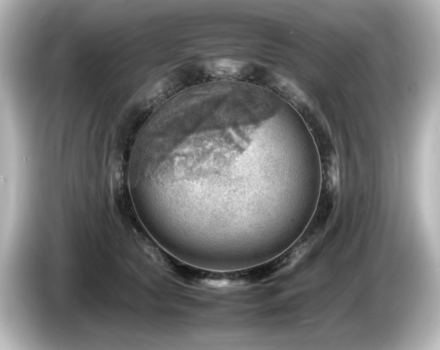 X0000085740561200703161030