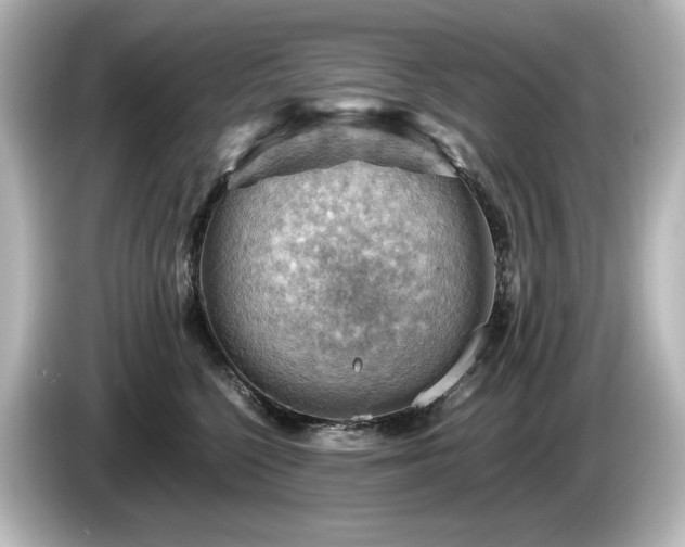 X0000085740568200703161030