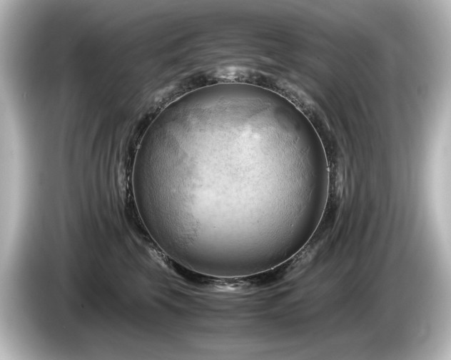 X0000085740569200703161030