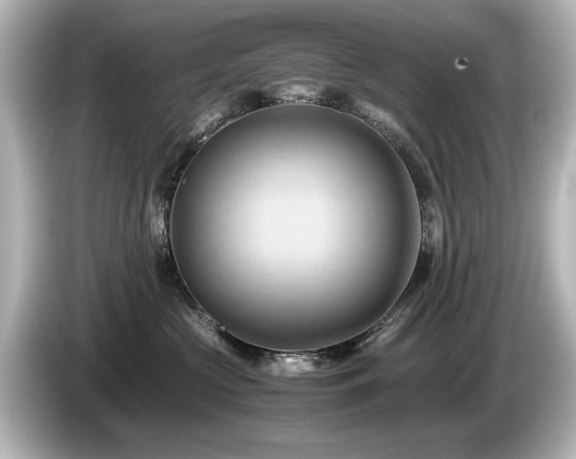 X0000085740573200703161031