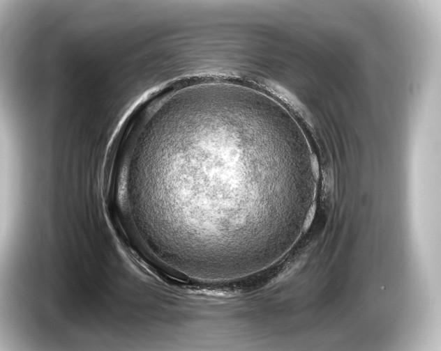 X0000085740580200703161030