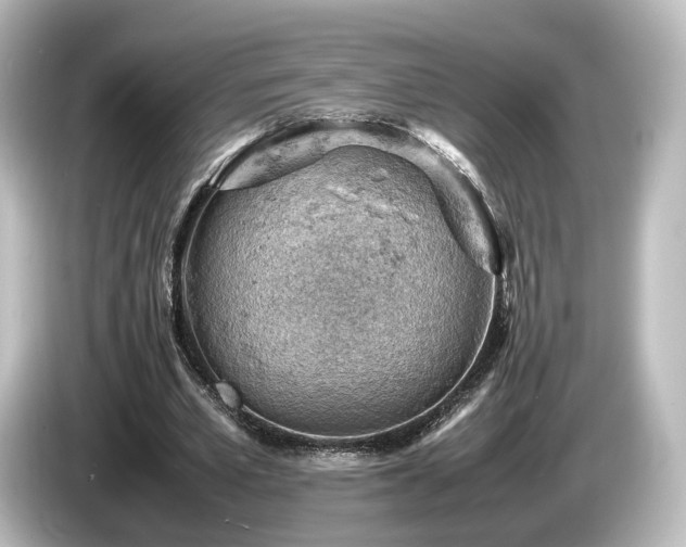 X0000085740581200703161030
