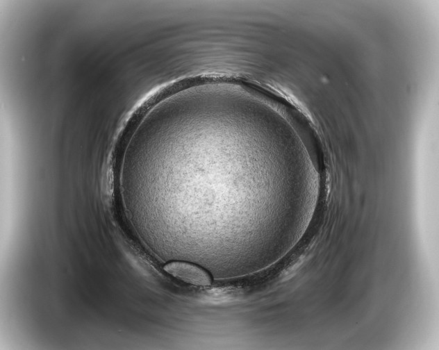 X0000085740584200703161030