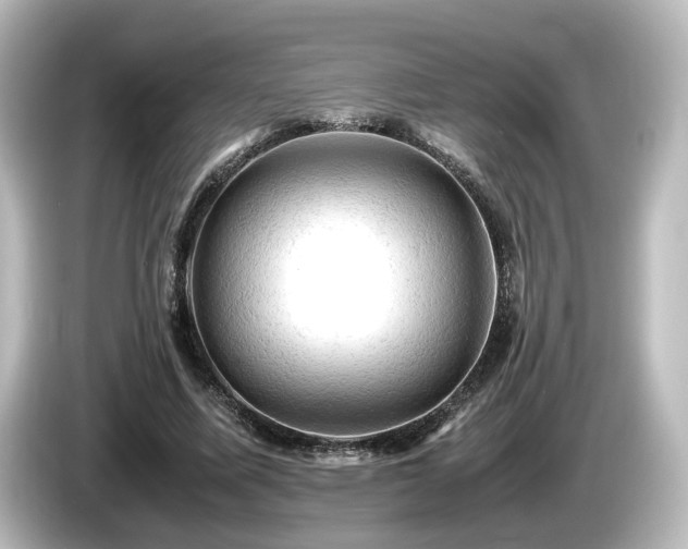 X0000085740587200703161030