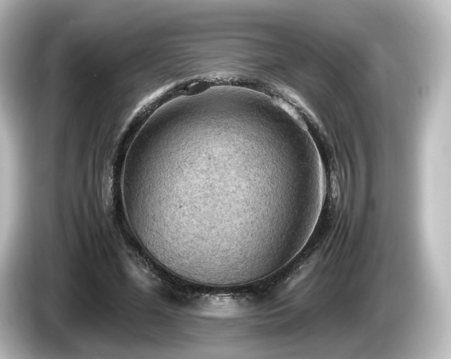 X0000085740588200703161030