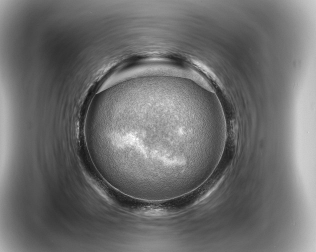 X0000085740589200703161030