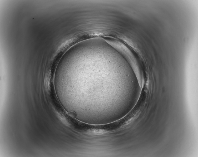 X0000085740590200703161030