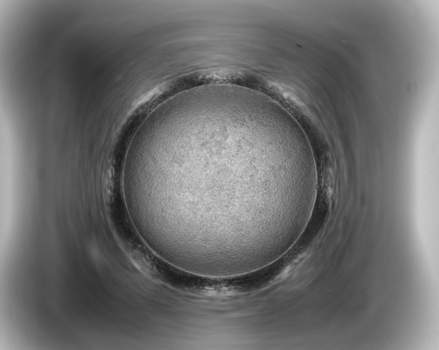 X0000085740591200703161030