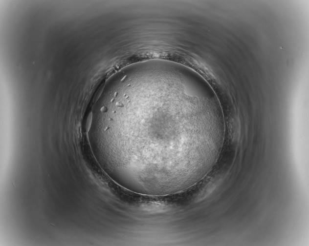 X0000085740594200703161030