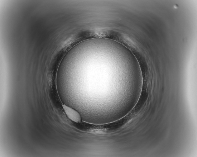 X0000085740595200703161030