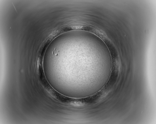 X0000085740598200703161030