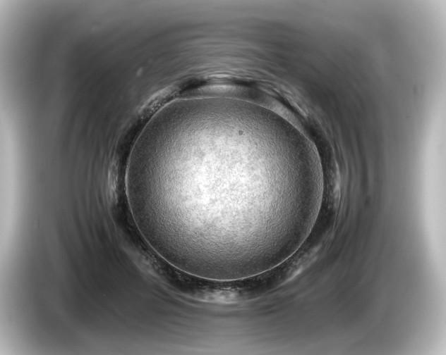 X0000085740600200703161030