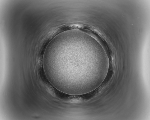 X0000085740601200703161030