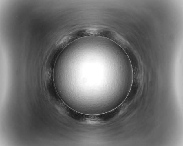 X0000085740603200703161029