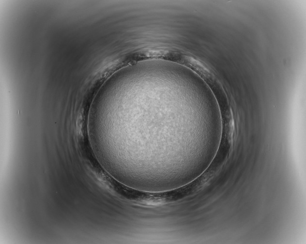 X0000085740604200703161029