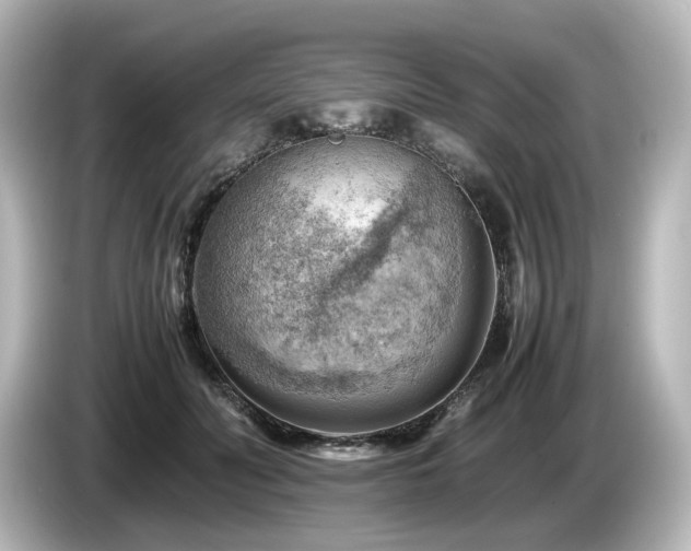 X0000085740606200703161029