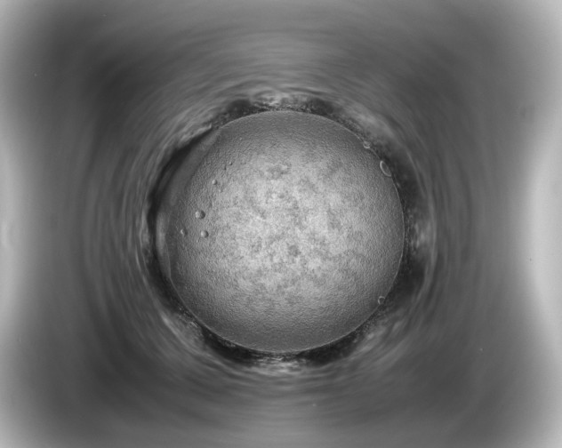 X0000085740607200703161029
