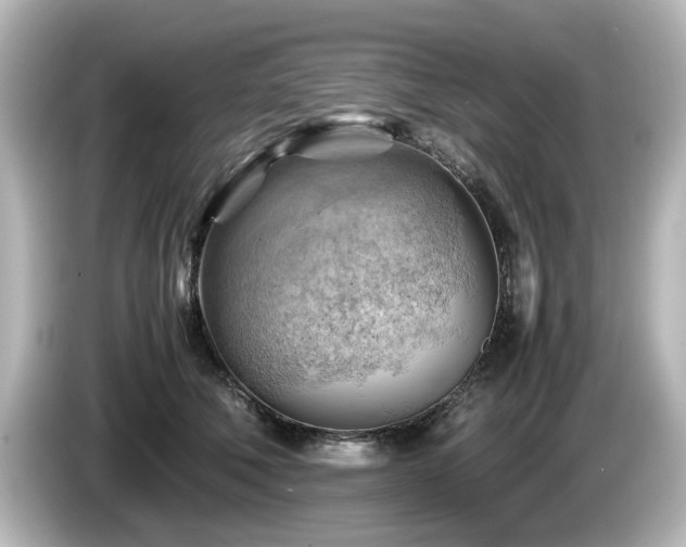 X0000085740610200703161029