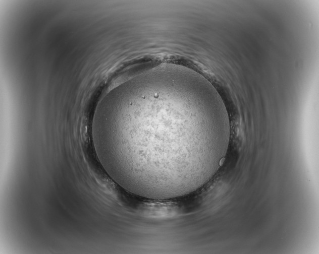 X0000085740615200703161029