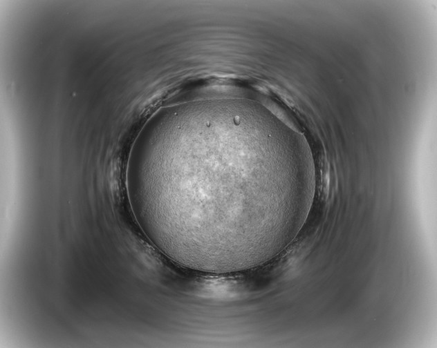 X0000085740616200703161029