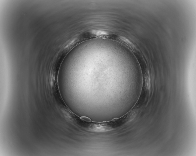 X0000085740618200703161029