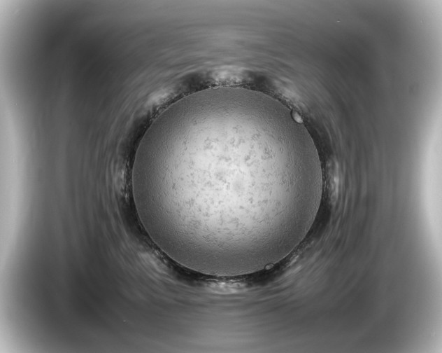 X0000085740619200703161029