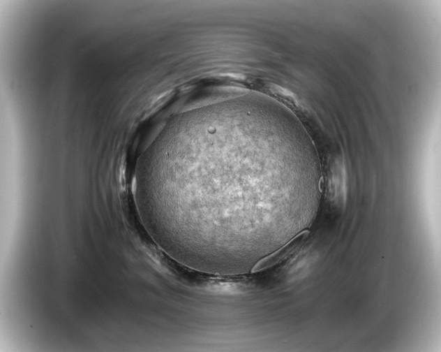 X0000085740620200703161029