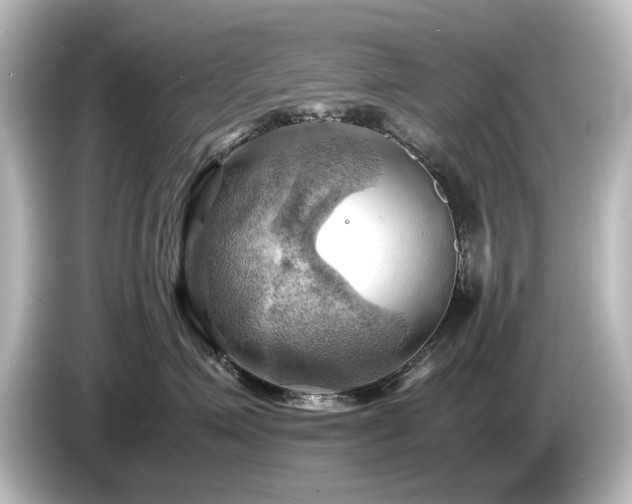 X0000085740623200703161029