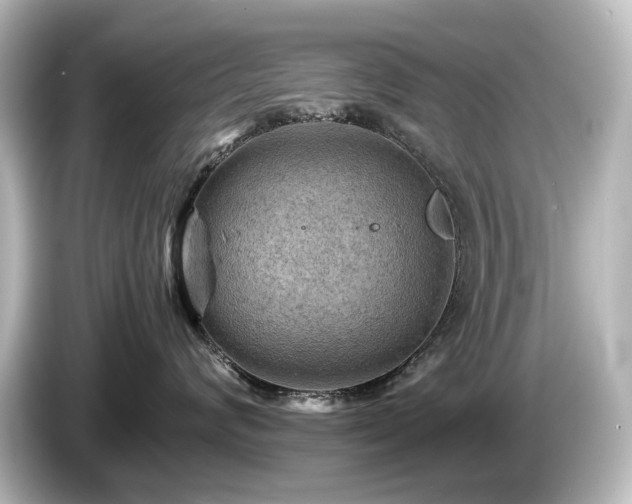 X0000085740624200703161029