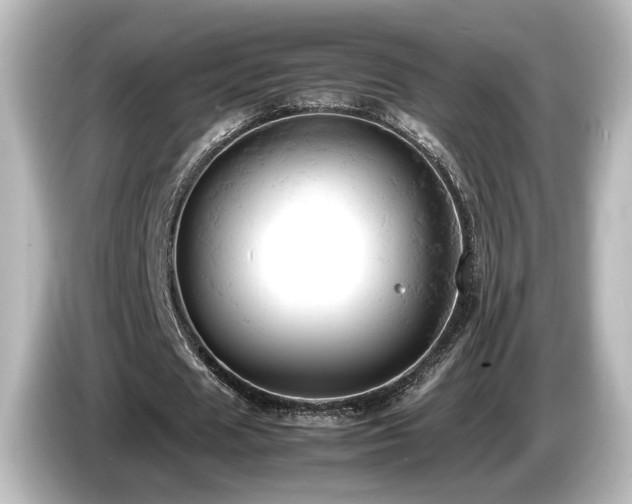 X0000085740625200703161028
