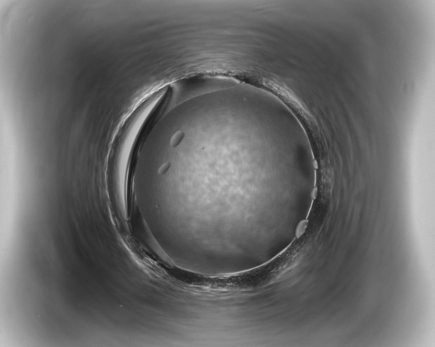 X0000085740626200703161028