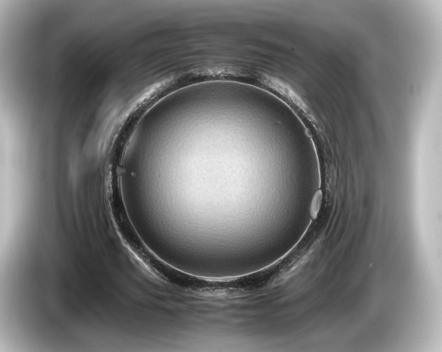 X0000085740629200703161029