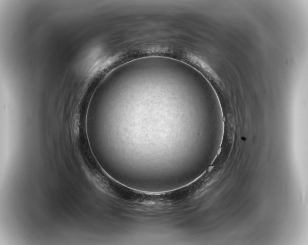 X0000085740631200703161029