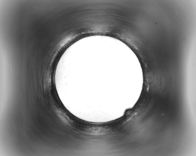 X0000085740632200703161029