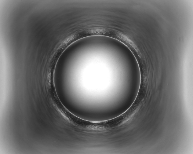X0000085740633200703161029