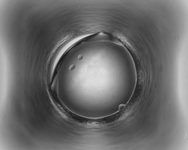 X0000085740634200703161029