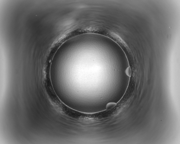 X0000085740635200703161029