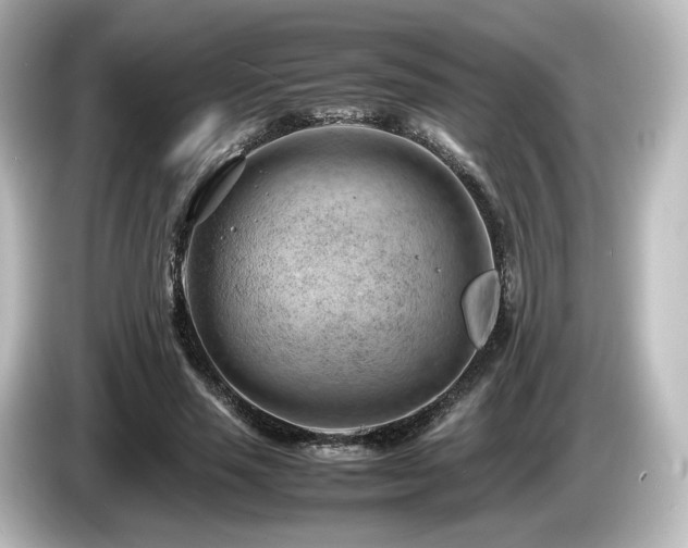 X0000085740637200703161029