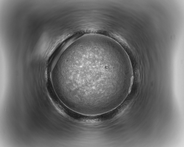 X0000085740638200703161029