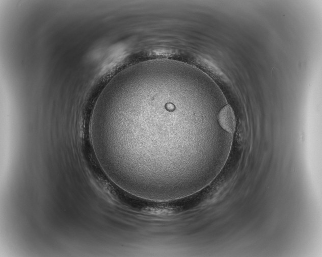 X0000085740639200703161029