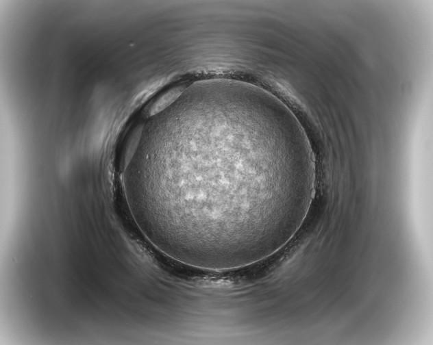 X0000085740640200703161029