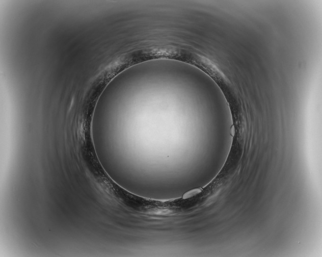 X0000085740643200703161029