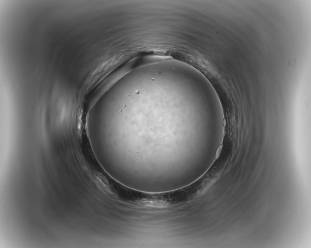 X0000085740644200703161029