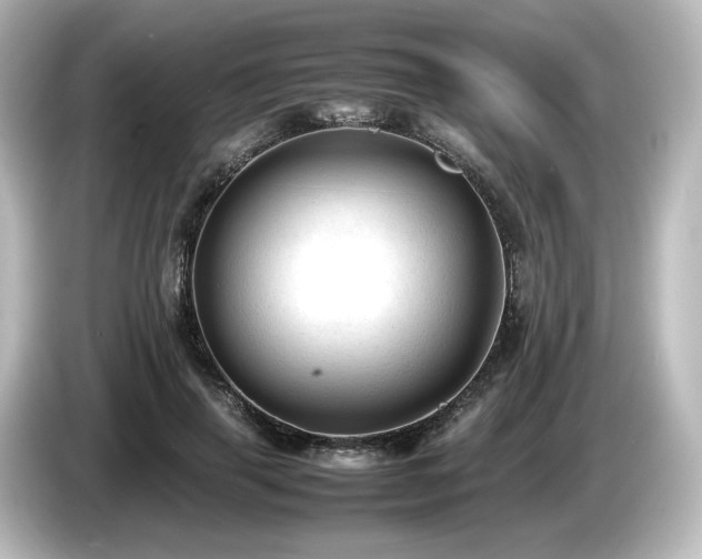 X0000085740645200703161029