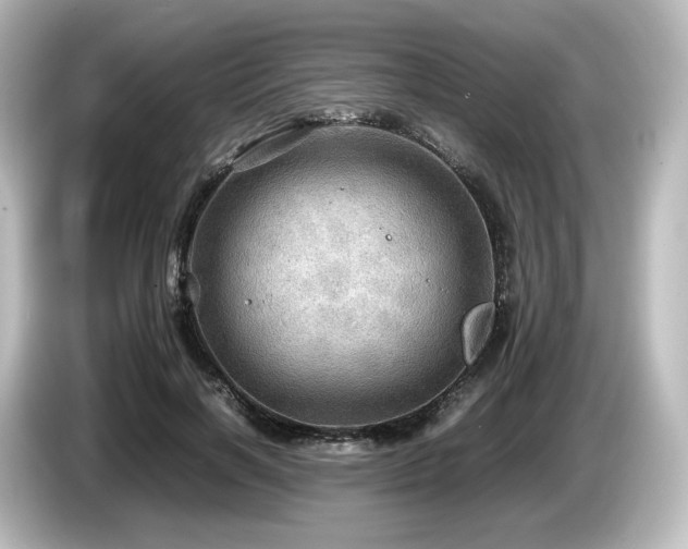 X0000085740646200703161029